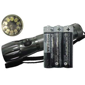 Ručna lampa sa 10 LED dioda Elit EL8048