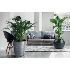 Saksija Maze 40x26cm Prosperplast 14462 - Img 2
