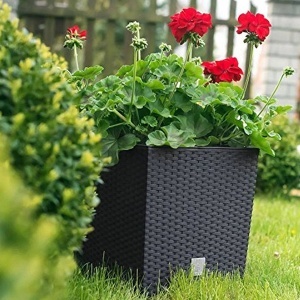 Saksija Rato Low 32x32x33cm Antracit Prosperplast PR DRTS325L-S433 - Img 3