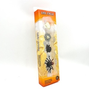 Set životni ciklus pauka 4 dela 34655