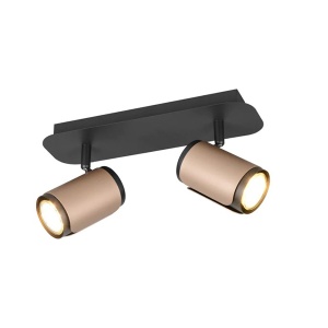 Spot lampa Gillan 2xGU10 Trio Lighting 814500265