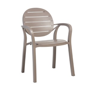 Stolica Palma tortor 222038