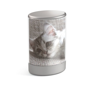 Stona foto lampa Moodlight PHILIPS HL 71923/48/P0
