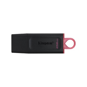 USB flash memorija 3.2 256Gb DTX/128GB Kingston 1204552