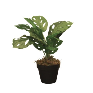 Veštačka biljka Monstera Calathea 36cm 025080