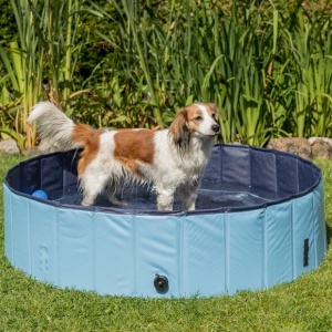 Bazen za pse 80x20cm Trixie 39481 - Img 2