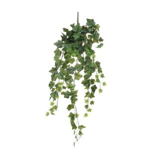 Cvet Ivy 86cm zelena 040431