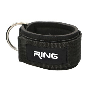 Dodatak za članak RING RX LEP-6401