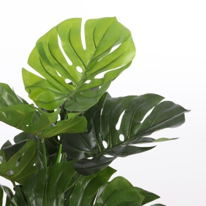 Drvo Monstera 100cm 040428 - Img 2