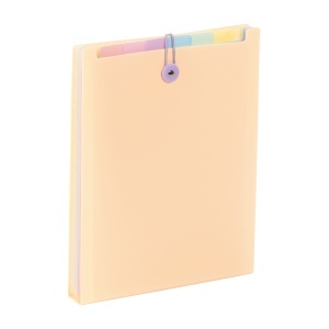 Expanding organizer sa 6 pregrada i gumicom USPRAVNI Rainbow Pastel - Img 2