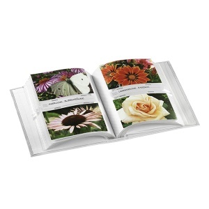 Foto album - Img 2