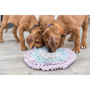 Igračka za pse Trixie Junior Tekstilna 38cm - Img 3