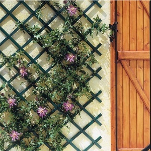 Merdevine za puzavice 1x2m Trellis 170202