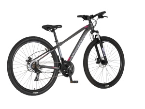 MTB bicikl 29/15in 21 brzina 158-175cm sivi Visitor Cascade 1290003 - Img 2