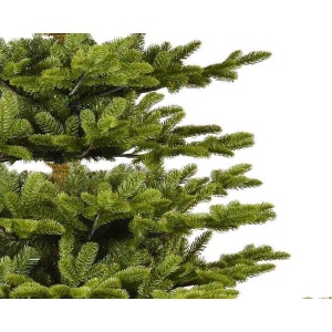 Novogodišnja jelka Koreana Spruce 180cm 68.9981 - Img 2