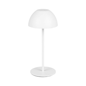 Stona lampa Ortiz 2W 3000K Trio Lighting R55601131