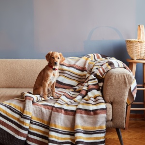 Ćebe Darcy 200x220 bež/žuta 024945