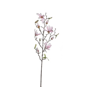 Cvet Magnolia 75cm roze 040425