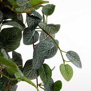 Cvet Pilea 70cm zelena 040420 - Img 2