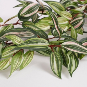 Cvet Tradescantia 80cm zelena 040455 - Img 2