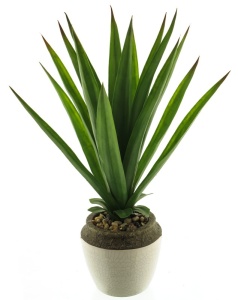 Cvet u saksiji Aloe 46cm zelena 040068