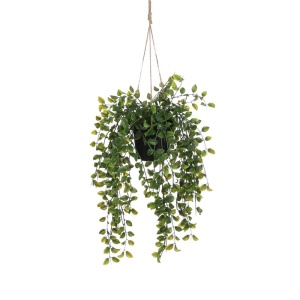 Cvet u saksiji Ficus 46cm zelena 040441