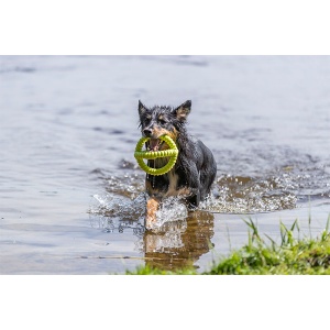 Igračka za pse za vodu Trixie Aqua 14cm - Img 3