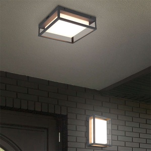 Led plafonjera Witham 14W IP54 Trio Lighting 677860142 - Img 2