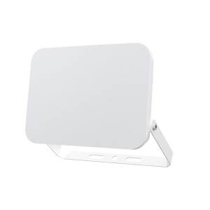 Led reflektor CCT 50W Braytron BT60-55080