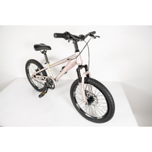 MTB Dečiji bicikl 20in Winner BIC.20/1 -TN24Q22 čelik 115-135cm 1 brzina roze - Img 5