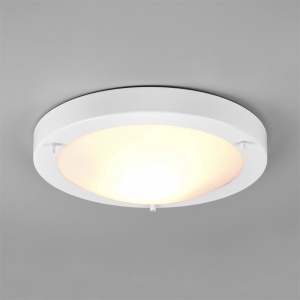Plafonjera za kupatilo Condus 1xE27 IP44 Trio lighting 6801011-01 - Img 2