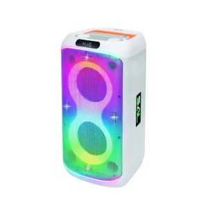 Prenosna zvučna kutija sa Bluetooth konekcijom 60W Sal PAR216WH