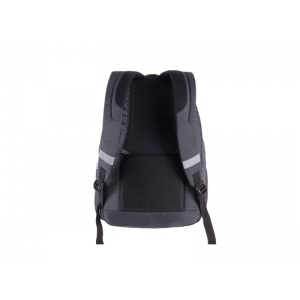 RANAC Prime Gray Stripe PULSE 121934 - Img 2