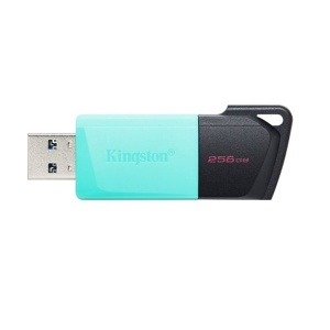 USB DTXM/256GB Kingston 1265478