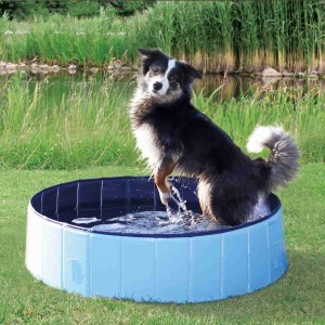 Bazen za pse 70x12cm Trixie 39480 - Img 4
