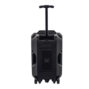 Bluetooth zvučnik TSP-120 Denver 30548 - Img 3