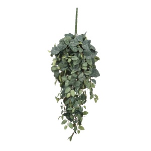 Cvet Pilea 70cm zelena 040420