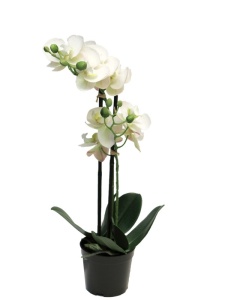 Cvet u saksiji Orhideja 50cm bela 040063