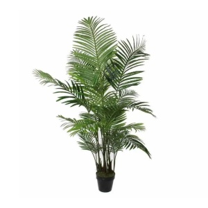 Drvo u saksiji Areca Palm 160cm 041255