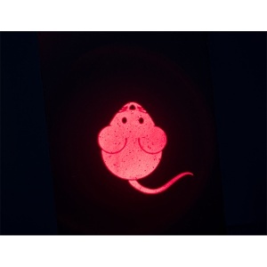 Igračka za mačke LED pokazivač 8,5cm Trixie 41313 - Img 4