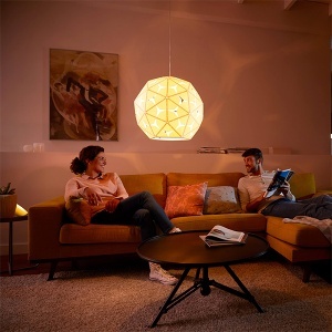 Luster Corkwood Philips HL 40914/31/PN - Img 2