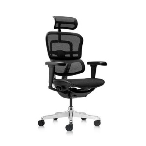 Menadžerska mrežasta stolica Ergohuman 2 Ultra Black
