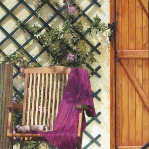 Merdevine za puzavice 0,5x1,5m Trellis 170203 - Img 3