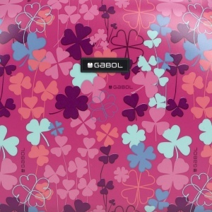 Neseser 35x29x17 cm 14l-1 kg Clover - Img 6