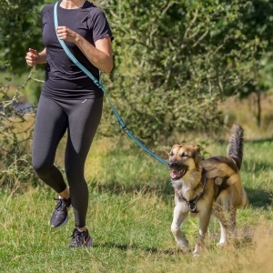 Povodac za džogiranje Trixie 12763