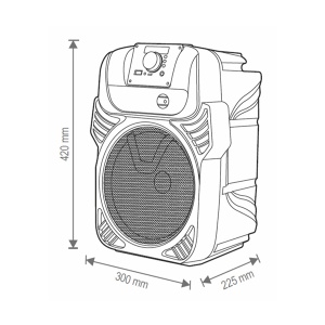 Prenosni Bluetooth zvučnik 25W RGB Sal PAR20BTC - Img 4