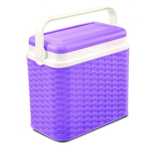 Ručni Frižider Piknik Ratan 10L 32692