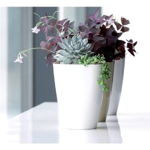 Saksija Coubi 13x13x17cm bela Prosperplast PR DUKO130-S449 - Img 2