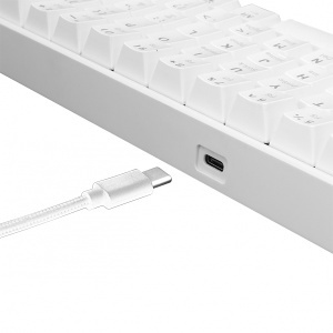 Tastatura Shinobi White US WhiteShark 6087 - Img 2