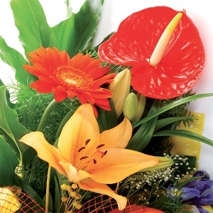Univerzalno tečno đubrivo 1150 gr Concime Universale Flortis 1OI018 - Img 2